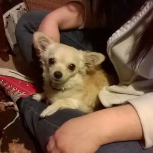 Meet your Posher, Gerianne